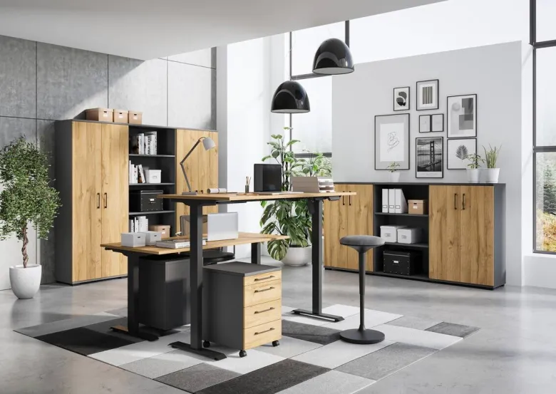 Aktenschrank 4250-564 Eiche Grand-Son Nachbildung Graphit B/H/T: ca. 80x200x40 cm