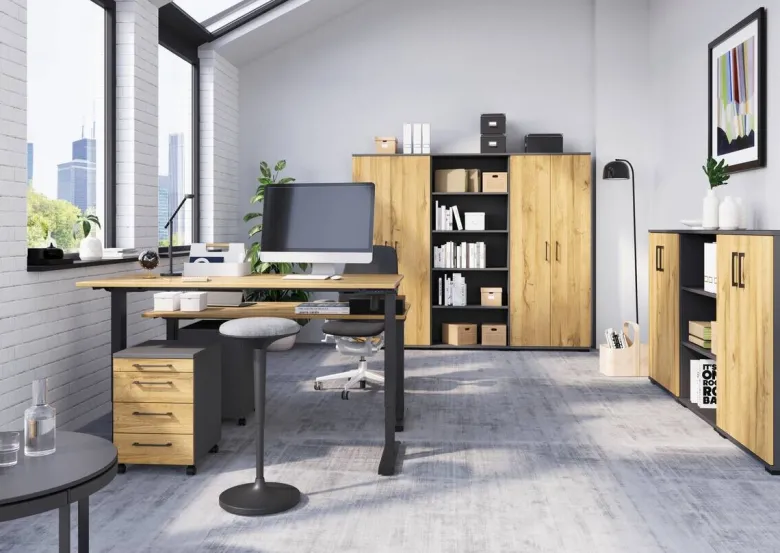 Aktenschrank 4250-564 Eiche Grand-Son Nachbildung Graphit B/H/T: ca. 80x200x40 cm