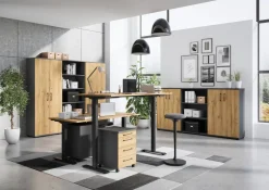 Aktenschrank 4246-547 Graphit B/H/T: ca. 80x123x40 cm