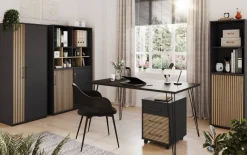 Aktenschrank Hank schwarz matt B/H/T: ca. 65,1x163,6x41 cm
