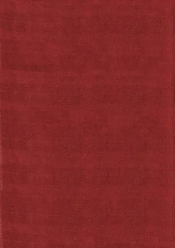 Ayyildiz Teppich SKY rot B/L: ca. 80x250 cm