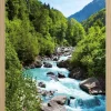 Bilder
