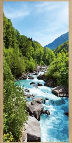 Bilder