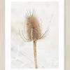 Bilderrahmen weiß Eiche H/L: ca. 21x29,7 cm