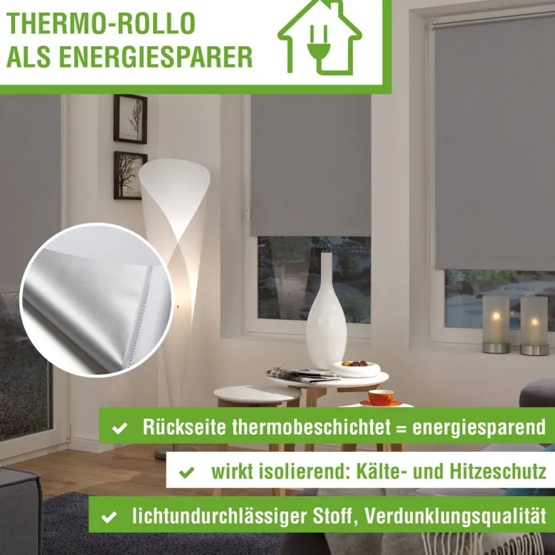 Boviva Thermo Seitenzugrollo Verdunklungsqualität anthrazit B/L: ca. 62x175 cm
