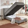 Boxspringbett Jeff silber Liegefläche B/L: ca. 100x200 cm