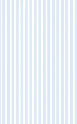 d-c-fix Fensterfolie Streifen B/L: ca. 45x150 cm