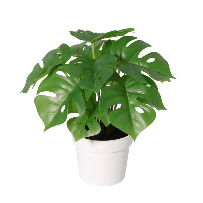 Deko-Pflanze grün Kunststoff H/D: ca. 21x23 cm