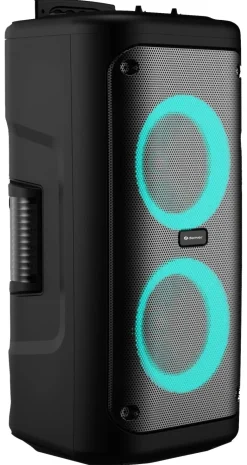 Denver Trolley Speaker TSP-353 schwarz B/H/T: ca. 30x62x28 cm