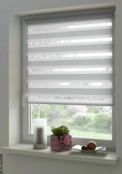 Doppelrollo Easyfix hellgrau B/L: ca. 65x150 cm