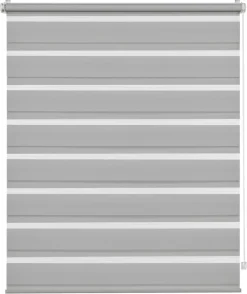 Doppelrollo Easyfix hellgrau B/L: ca. 65x150 cm