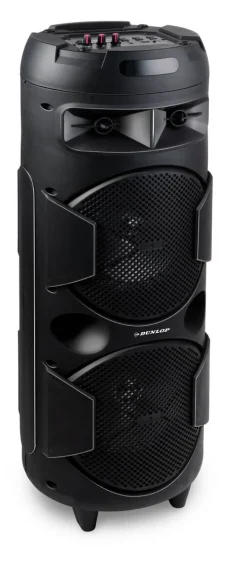 Dunlop Lautsprecher MW-538 H/D: ca. 80x28 cm