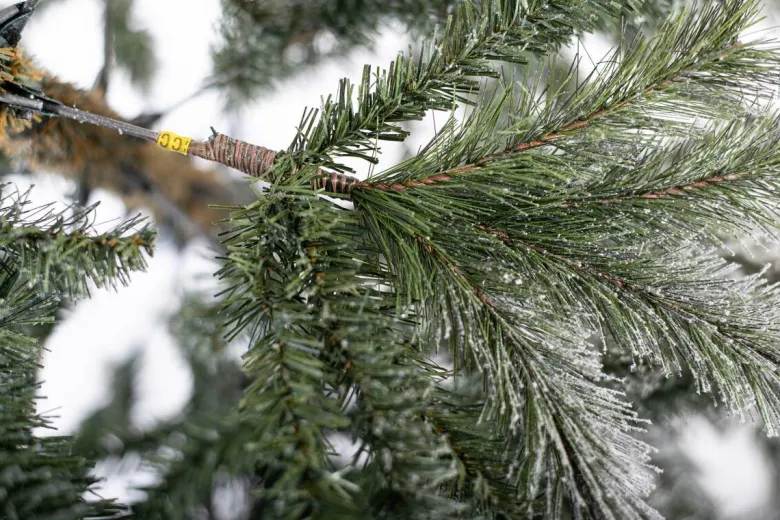 Evergreen Weihnachtsbaum Cedar Kiefer grün PVC B/H: ca. 114x210 cm