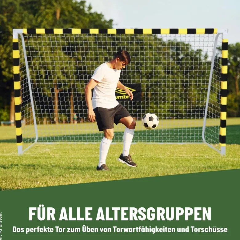 Fußballtor schwarz B/H/T: ca. 300x200x90 cm