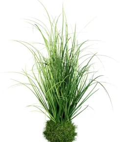 Grasarrangement grün Kunststoff H: ca. 50 cm