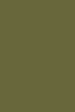 Klebefolie olive B/L: ca. 67,5x200 cm