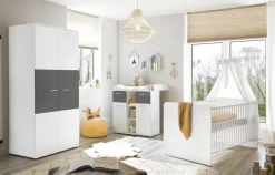 Kleiderschrank Alex weiß Graphit B/H/T: ca. 90x195x60 cm