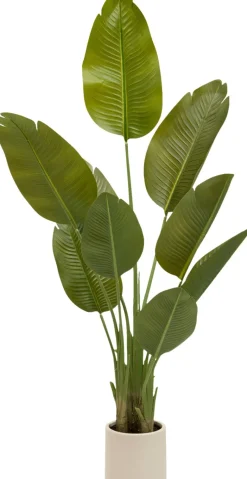 Kunstpflanze Bananenbaum grün Kunststoff B/H/L: ca. 50x140x40 cm