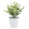 Kunstpflanze Eukalyptus grün Kunststoff H: ca. 15 cm