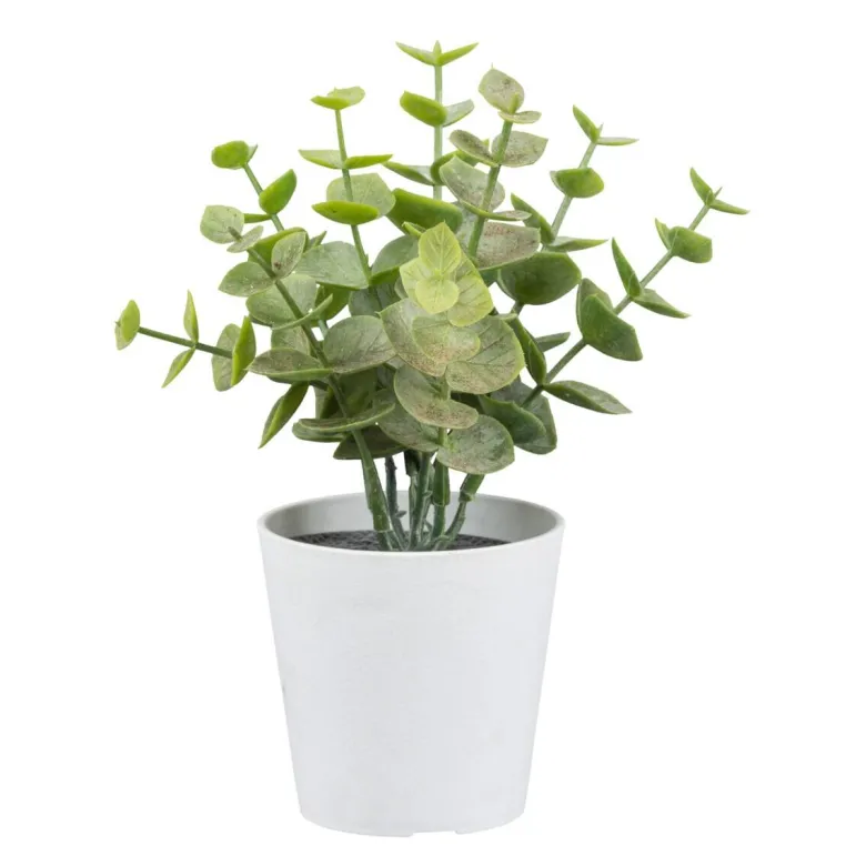 Kunstpflanze Eukalyptus grün Kunststoff H: ca. 15 cm