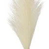 Kunstpflanze Pampasgras creme Kunststoff H: ca. 115 cm