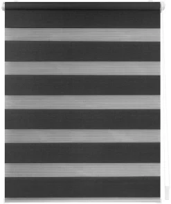 LICHTBLICK Doppelrollo Duo anthrazit B/L: ca. 75x150 cm