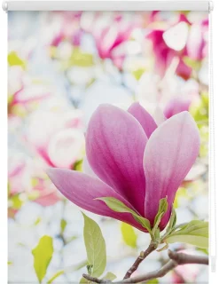 LICHTBLICK Rollo Magnolie rosa B/L: ca. 80x150 cm