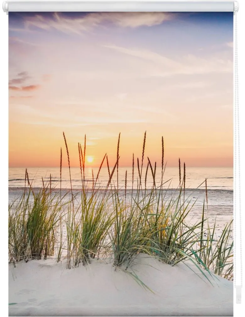 LICHTBLICK Rollo Nordseestrand weiß B/L: ca. 80x150 cm