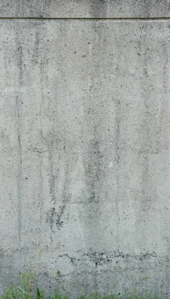 Livingwalls Fototapete Betonoptik grau grün B/L: ca. 280x159 cm