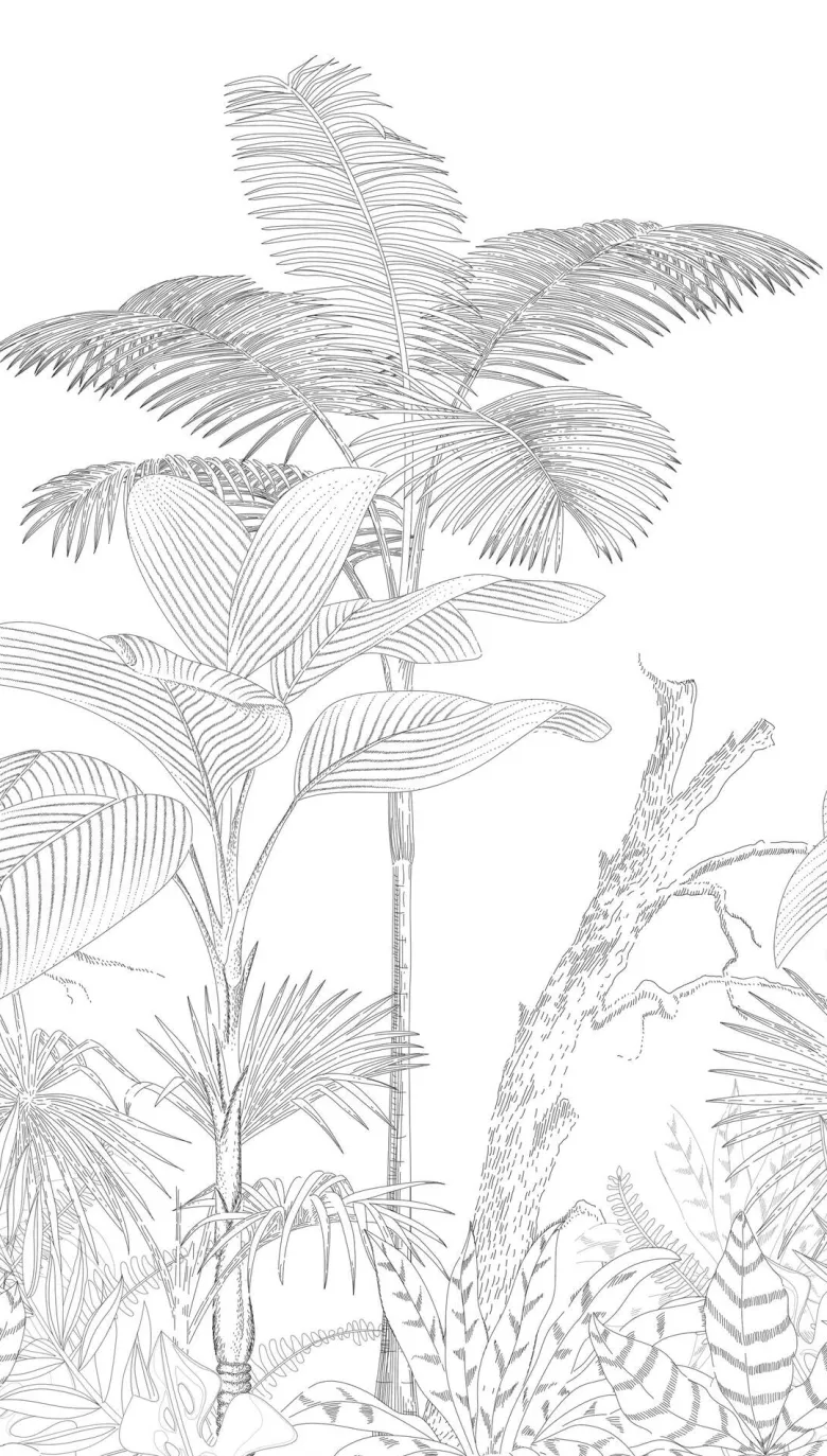 Livingwalls Fototapete Palmen weiß schwarz B/L: ca. 280x159 cm