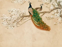 Livingwalls Fototapete Pfau orange beige weiß B/L: ca. 280x371 cm