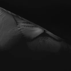 Microfaser Bettwäsche