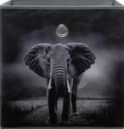 Motivbox Wildlife anthrazit B/H/T: ca. 32x32x32 cm