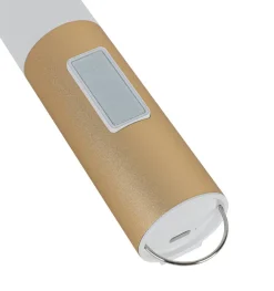 Nolo LED-Dekoleuchte Flash messing B/H/L: ca. 4x3,8x19,8 cm