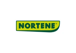 NORTENE Sichtschutz braun PVC B/H/L: ca. 300x0,05x150 cm