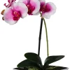 Orchidee weiß Kunststoff H: ca. 30 cm