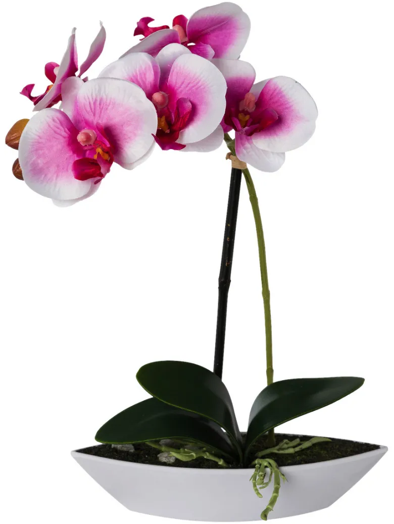 Orchidee weiß Kunststoff H: ca. 30 cm