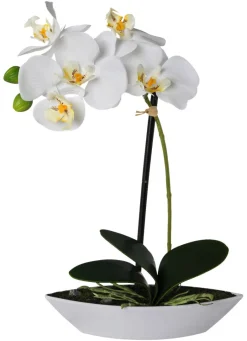 Orchidee weiß Kunststoff H: ca. 30 cm