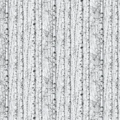 Papiertapete Birkenwald weiß schwarz B/L: ca. 53x1005 cm