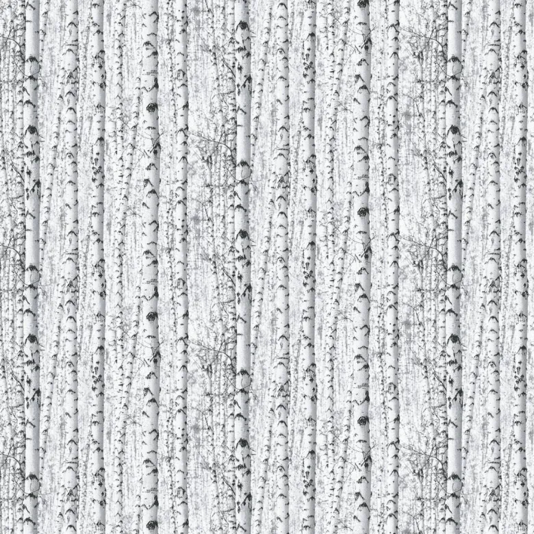 Papiertapete Birkenwald weiß schwarz B/L: ca. 53x1005 cm