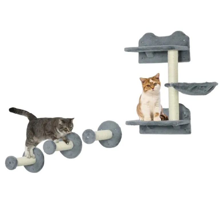 PawHut Fitness-Zubehör grau Edelstahl B/H/L: ca. 28x40x73 cm
