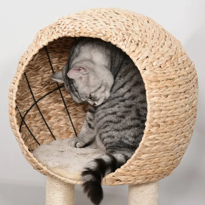 PawHut Kratzbaum beige Polypropylen B/H/L: ca. 40x48x100 cm