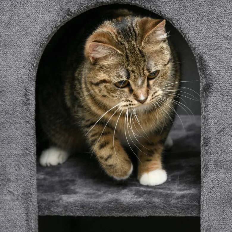 PawHut Tier-Zubehör grau Spanplatte B/H/L: ca. 45x45x81 cm