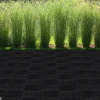 POCOline Terrassenfliese WPC, 6 Stück im Paket anthrazit B/L: ca. 30x30 cm