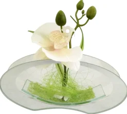 POCOline Vase klar Glas B/H/L: ca. 4,5x9,5x20 cm