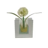 POCOline Vase klar Glas B/H/L: ca. 4x9x8,5 cm