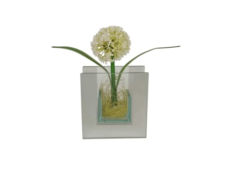 POCOline Vase klar Glas B/H/L: ca. 4x9x8,5 cm