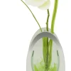 POCOline Vase klar Glas B/H/L: ca. 6x28,5x14 cm