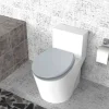 POCOline WC-Sitz Cassano grau Duroplast