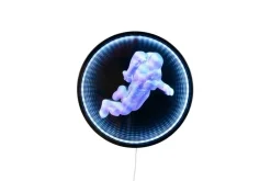 Reality LED-Wandleuchte Duke schwarz B/H: ca. 40x3 cm